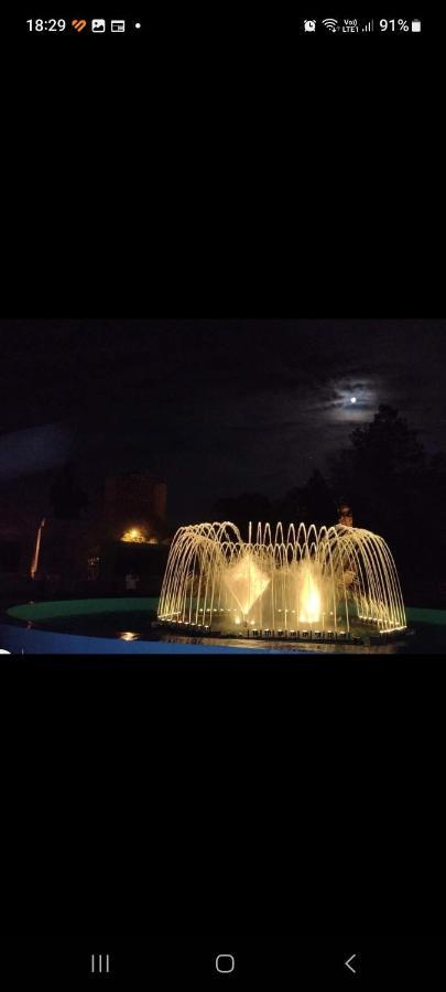 Casa Cojocaru Bed and Breakfast Turnu Măgurele Exteriör bild